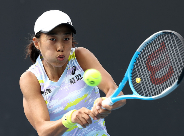  莱巴金娜温网次轮出局，种子选手遭遇滑铁卢